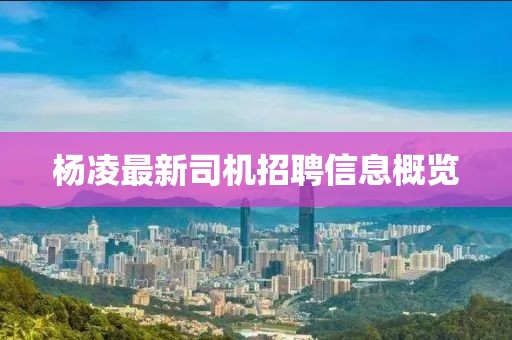 楊凌最新司機(jī)招聘信息概覽