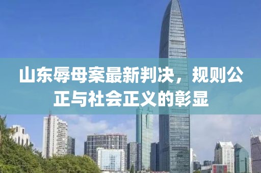 山東辱母案最新判決，規則公正與社會正義的彰顯