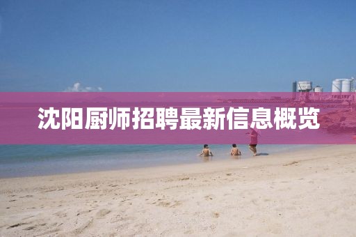 沈陽廚師招聘最新信息概覽