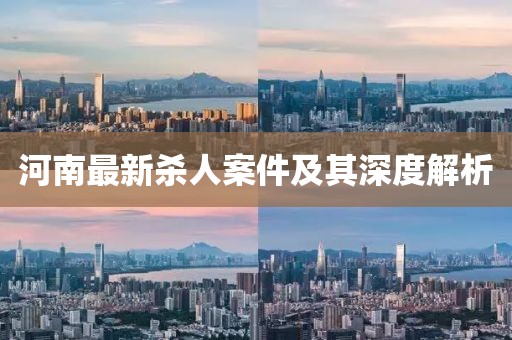 河南最新殺人案件及其深度解析