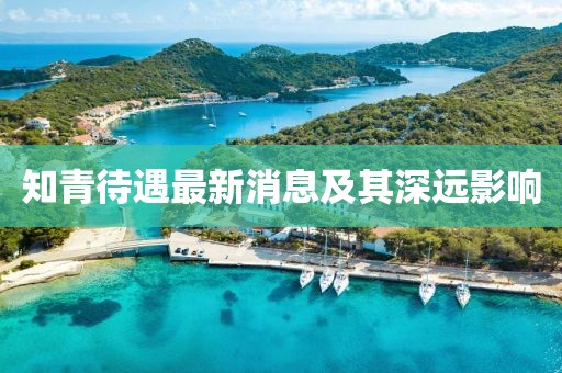 知青待遇最新消息及其深遠影響