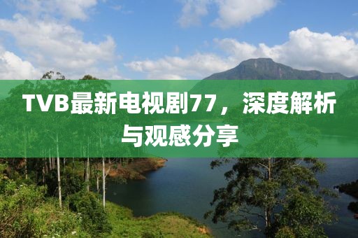 TVB最新電視劇77，深度解析與觀感分享