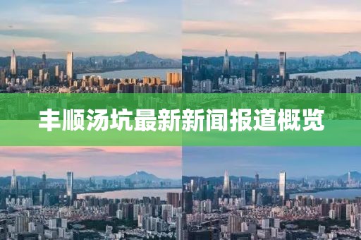 豐順湯坑最新新聞報道概覽