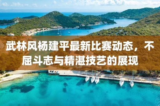 武林風楊建平最新比賽動態，不屈斗志與精湛技藝的展現