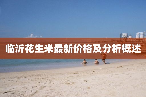 臨沂花生米最新價格及分析概述