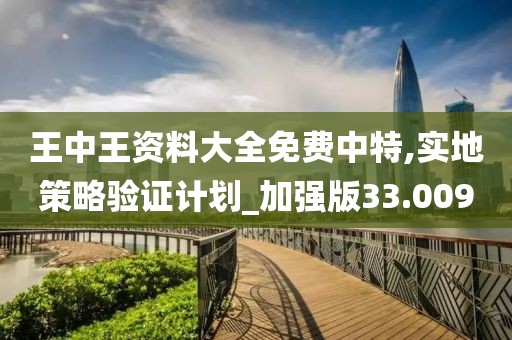 王中王資料大全免費中特,實地策略驗證計劃_加強版33.009