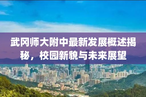 武岡師大附中最新發展概述揭秘，校園新貌與未來展望