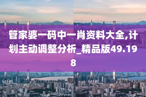 管家婆一碼中一肖資料大全,計劃主動調整分析_精品版49.198