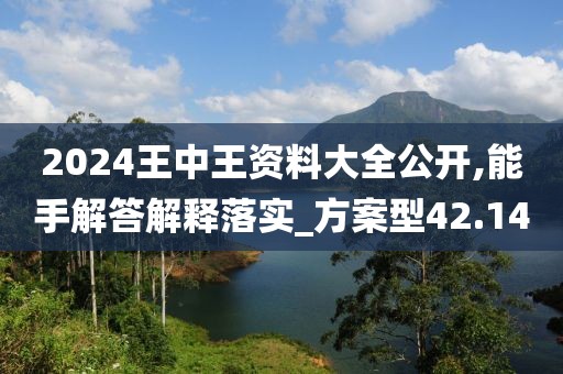 2024王中王資料大全公開,能手解答解釋落實_方案型42.14
