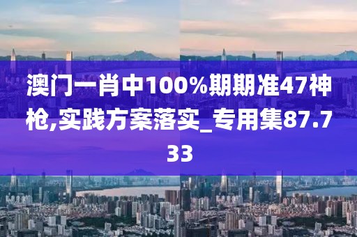 澳門一肖中100%期期準47神槍,實踐方案落實_專用集87.733