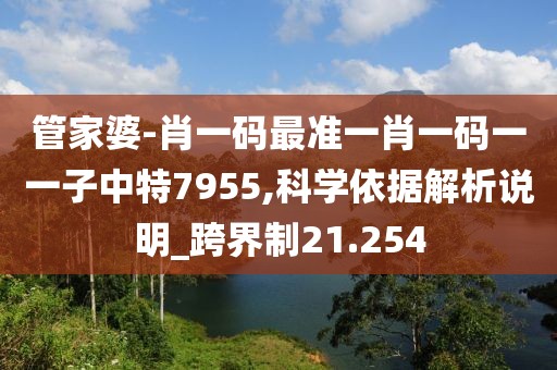 管家婆-肖一碼最準一肖一碼一一子中特7955,科學依據解析說明_跨界制21.254