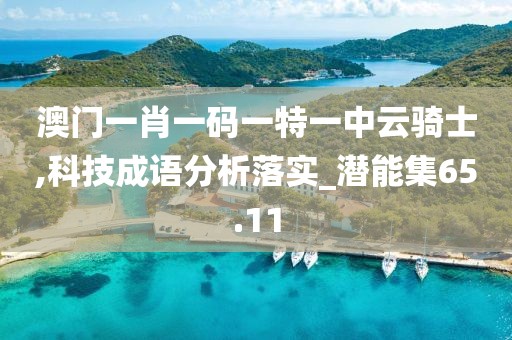 澳門一肖一碼一特一中云騎士,科技成語分析落實_潛能集65.11