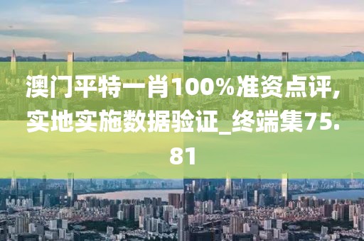 澳門平特一肖100%準資點評,實地實施數據驗證_終端集75.81