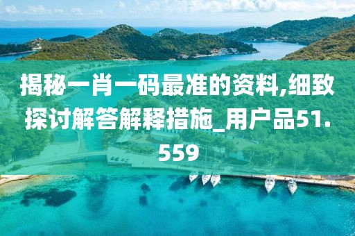 揭秘一肖一碼最準的資料,細致探討解答解釋措施_用戶品51.559