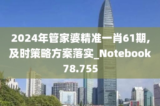 2024年管家婆精準一肖61期,及時策略方案落實_Notebook78.755