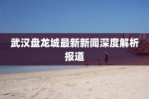武漢盤龍城最新新聞深度解析報道