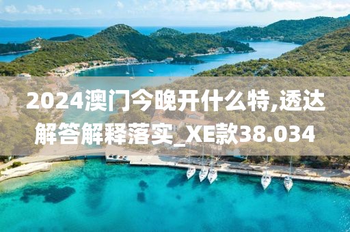 2024澳門今晚開什么特,透達解答解釋落實_XE款38.034
