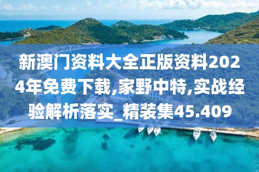 新澳門(mén)資料大全正版資料2024年免費(fèi)下載,家野中特,實(shí)戰(zhàn)經(jīng)驗(yàn)解析落實(shí)_精裝集45.409
