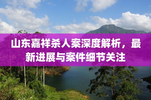 山東嘉祥殺人案深度解析，最新進展與案件細節關注
