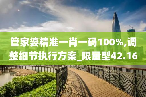 管家婆精準一肖一碼100%,調整細節執行方案_限量型42.16