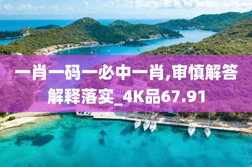 一肖一碼一必中一肖,審慎解答解釋落實_4K品67.91