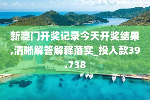 新澳門開獎記錄今天開獎結果,清晰解答解釋落實_投入款39.738