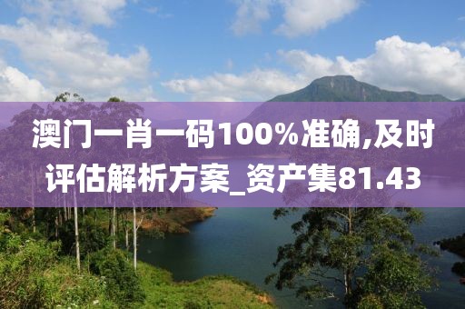 澳門一肖一碼100%準確,及時評估解析方案_資產集81.43