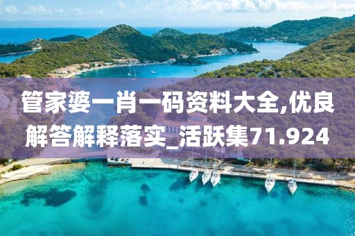 管家婆一肖一碼資料大全,優良解答解釋落實_活躍集71.924