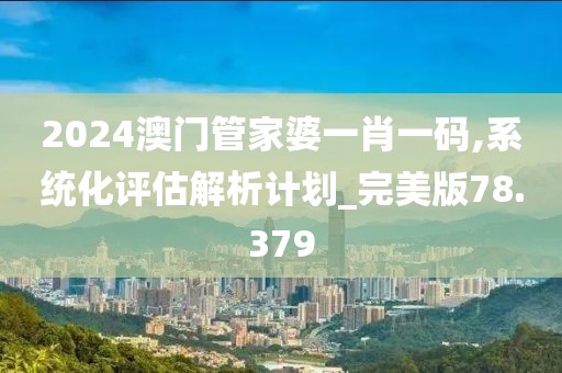 2024澳門管家婆一肖一碼,系統化評估解析計劃_完美版78.379