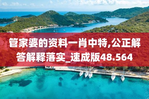 管家婆的資料一肖中特,公正解答解釋落實(shí)_速成版48.564