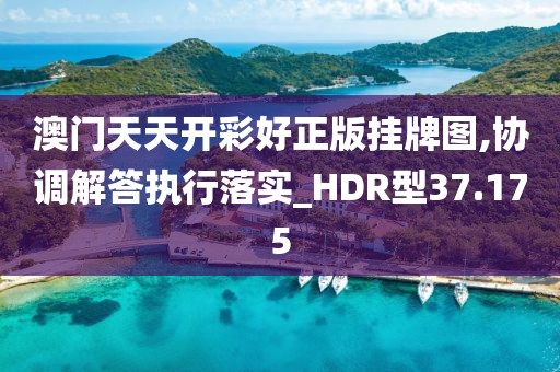 澳門天天開彩好正版掛牌圖,協調解答執行落實_HDR型37.175