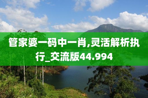 管家婆一碼中一肖,靈活解析執(zhí)行_交流版44.994