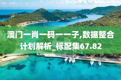 澳門一肖一碼一一子,數據整合計劃解析_標配集67.82