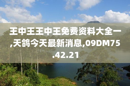 王中王王中王免費(fèi)資料大全一,天鴿今天最新消息,09DM75.42.21