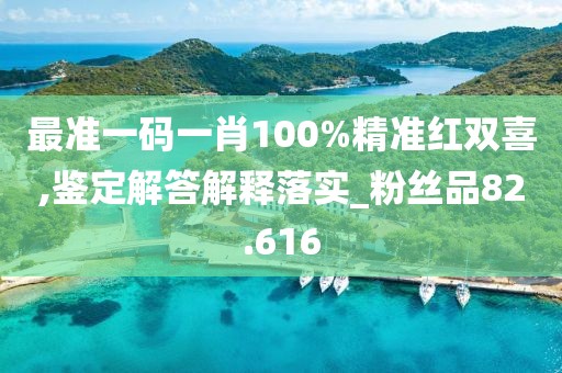 最準一碼一肖100%精準紅雙喜,鑒定解答解釋落實_粉絲品82.616