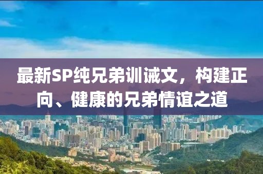 最新SP純兄弟訓誡文，構建正向、健康的兄弟情誼之道