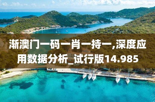 漸澳門一碼一肖一持一,深度應用數據分析_試行版14.985