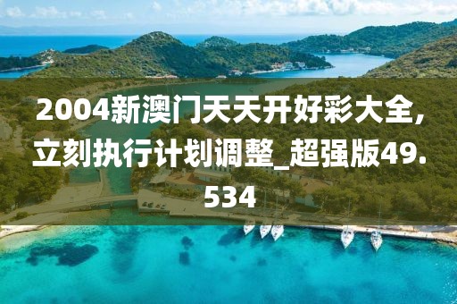 2004新澳門天天開好彩大全,立刻執行計劃調整_超強版49.534