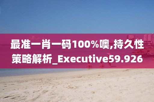最準一肖一碼100%噢,持久性策略解析_Executive59.926