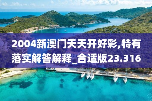 2004新澳門天天開好彩,特有落實解答解釋_合適版23.316