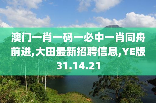 澳門一肖一碼一必中一肖同舟前進,大田最新招聘信息,YE版31.14.21
