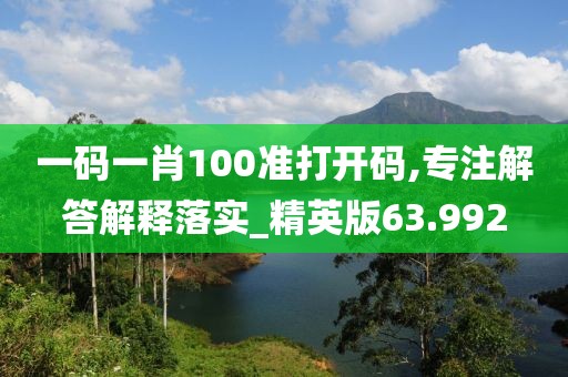 一碼一肖100準打開碼,專注解答解釋落實_精英版63.992