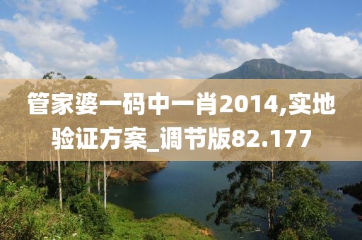 管家婆一碼中一肖2014,實地驗證方案_調節版82.177