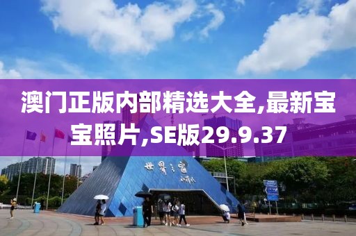 澳門正版內(nèi)部精選大全,最新寶寶照片,SE版29.9.37