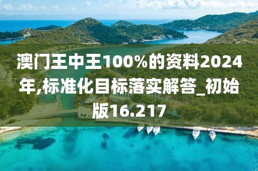 澳門王中王100%的資料2024年,標準化目標落實解答_初始版16.217