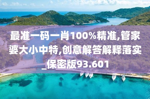 最準一碼一肖100%精準,管家婆大小中特,創意解答解釋落實_保密版93.601