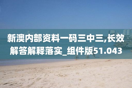 新澳內部資料一碼三中三,長效解答解釋落實_組件版51.043
