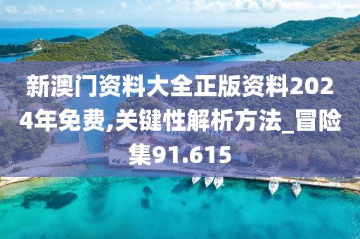 新澳門資料大全正版資料2024年免費,關鍵性解析方法_冒險集91.615