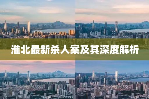淮北最新殺人案及其深度解析