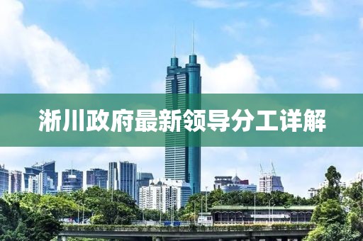淅川政府最新領導分工詳解